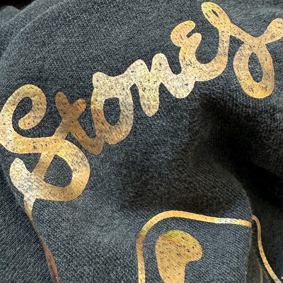 PEOPLE OF LEISURE The Rolling Stones Sticky Fingers 1971 Metallic Crewneck - Picture 2 of 4